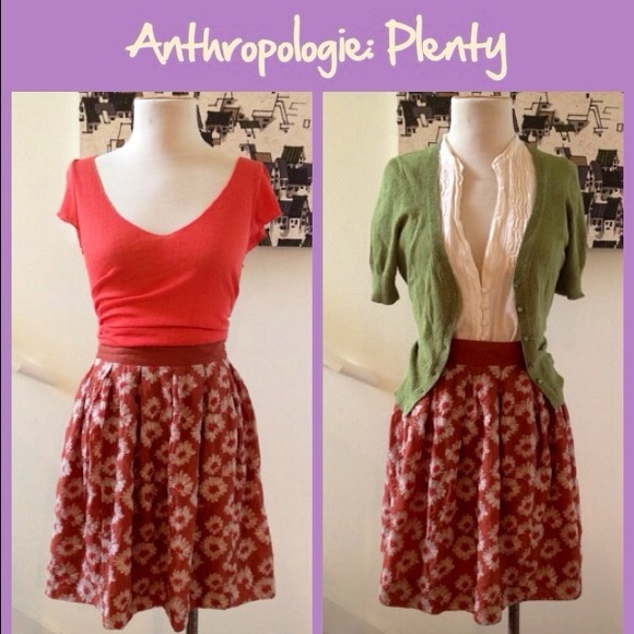 Anthropologie Dresses & Skirts - Anthro Cotton Embroidered Skirt by Plenty