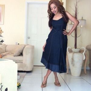 Boston Proper Denim Dress