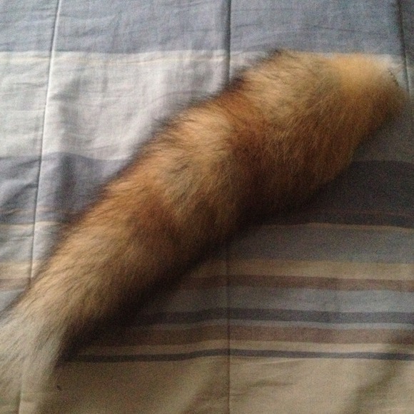 Fox tail