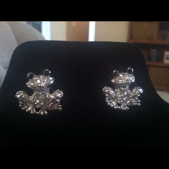 Earrings - Picture 1 of 1