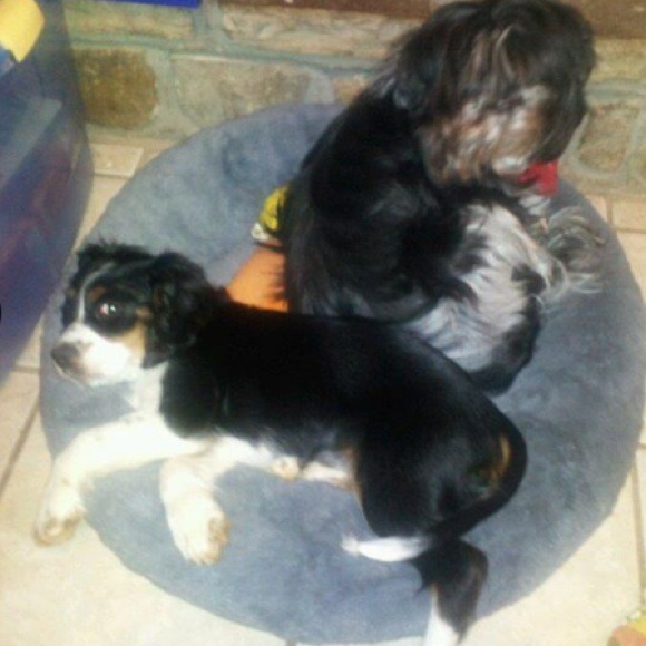 Hi Everyone! Meet your seller :) - Picture 2 of 2