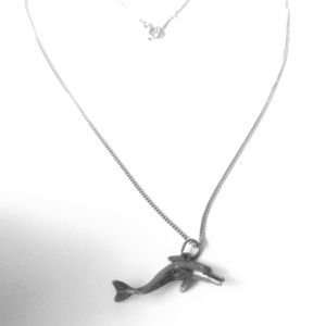 Necklace with dolphin pendant
