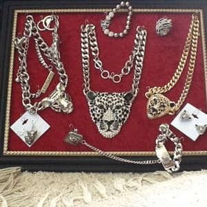 What's New in the Zoo?