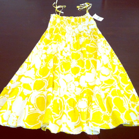 J Crew Sundress