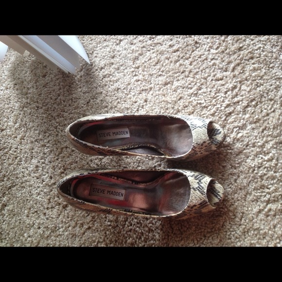 Steve Madden Heels! Snakeskin style