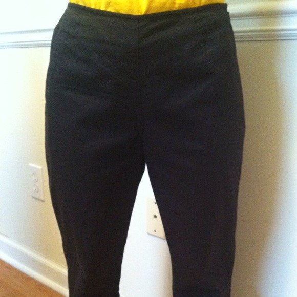 ANN TAYLOR SIZE 2 PETITES