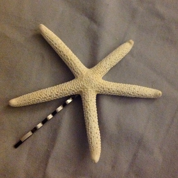 Pencil starfish hair pin