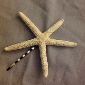 Pencil starfish hair pin
