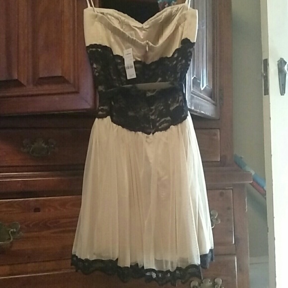 2x Host Pick 11/30, 2/22??NWT tool strapless dress - Picture 3 of 4