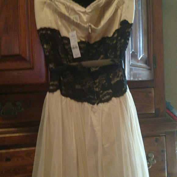 2x Host Pick 11/30, 2/22??NWT tool strapless dress - Picture 4 of 4