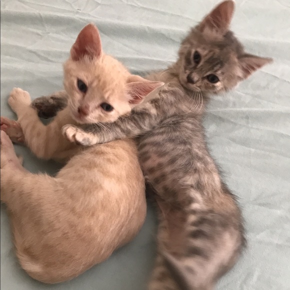 💖Meet your buyer & seller!💖 - Picture 3 of 4