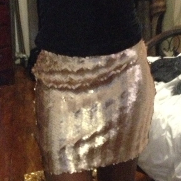 Sequined Skirt - Picture 2 of 4
