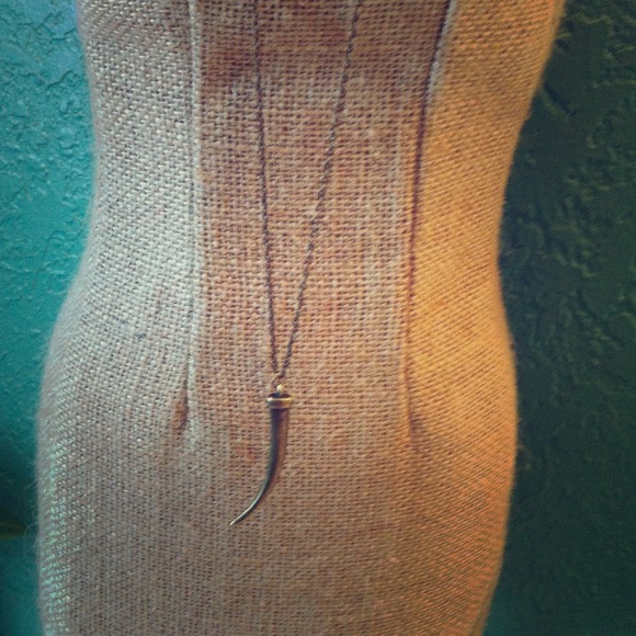 🎈SALE🎈Horn Necklace!