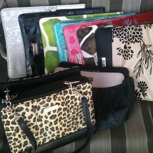 Small Miche Handbag and 9 shells