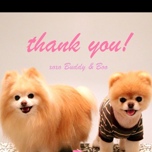 Thank you for all the shares everybody !