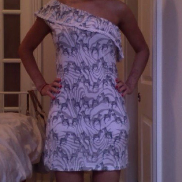 Zebra Print Dress