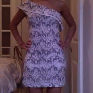 Zebra Print Dress