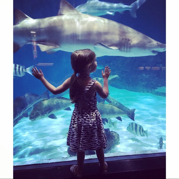 ๐ Meet The Posher- Anna ๐ - Picture 4 of 6