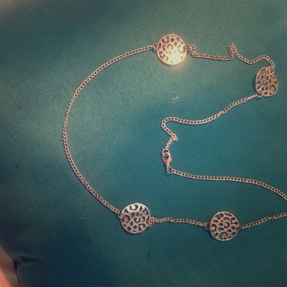 Long silver trendy necklace