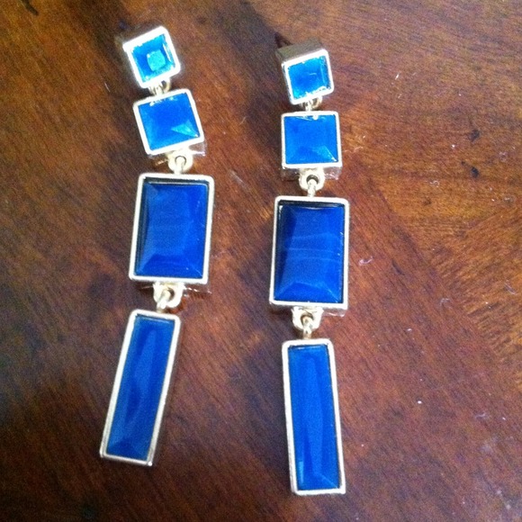 Cute blue earrings never worn! REDUCED