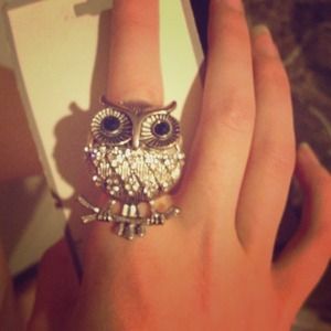 Owl ring (stretchy)
