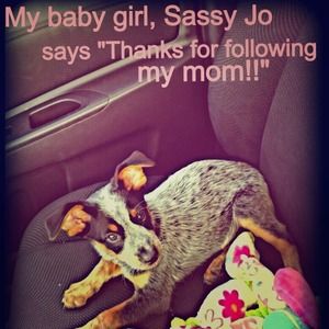 Thanks For Following Me!