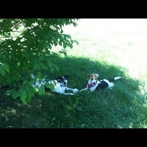 Check out our mommies closet bundling welcome