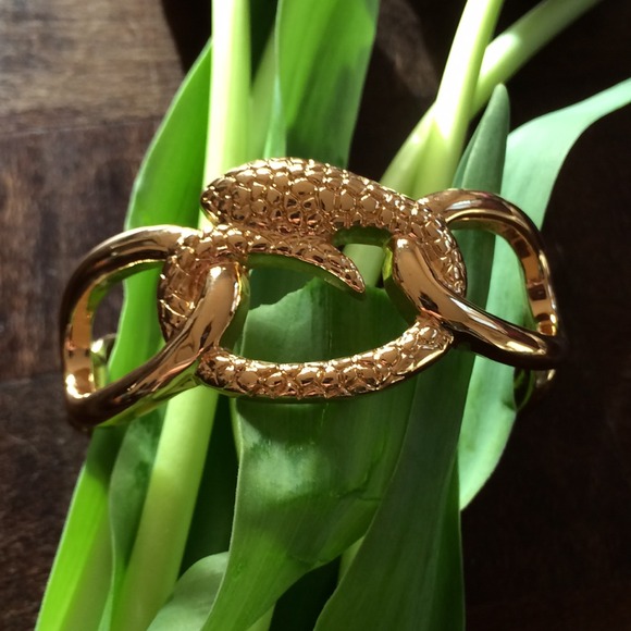 Snake link bangle - Picture 2 of 4