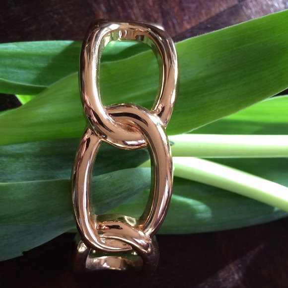 Snake link bangle - Picture 3 of 4