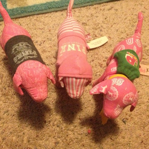 Victoria's Secret pups