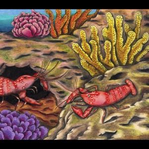 BUNDLE RESERVED for Katelyn 💗💗💗