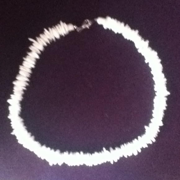 White seashell necklace