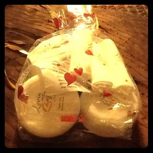 Lovin My Bags Handbag Cleaner/ Cond.