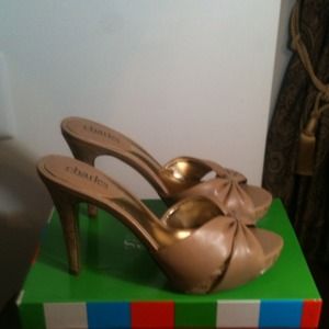 Charles David Slides