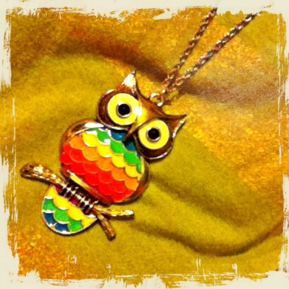 Forever21 rainbow owl necklace