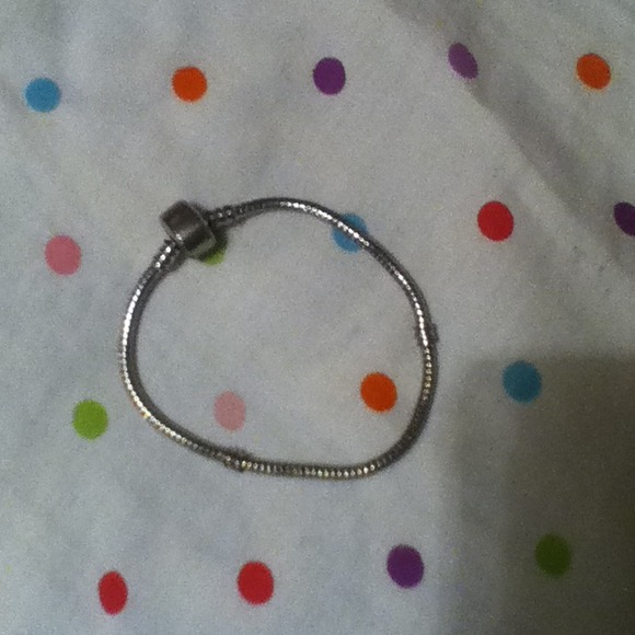 Pandora look a like charm bracelet