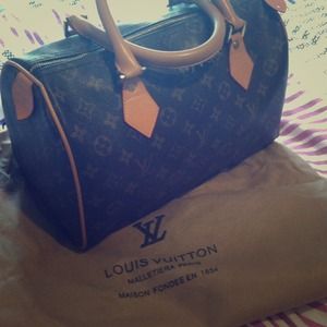 Louis Vuitton Handbag