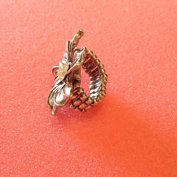 Ring - Picture 2 of 2