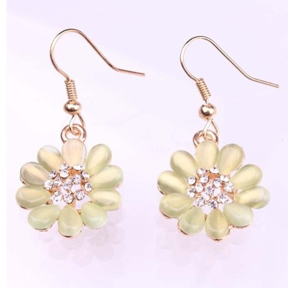 Beautiful earrings new
