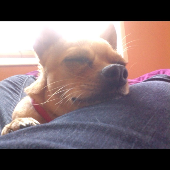 My men my everything 💜💜💜💜