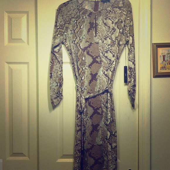 BCBG python dress