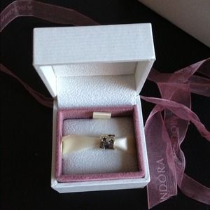 Pretty Pandora charm