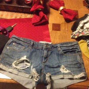 Charlotte Ruth shorts