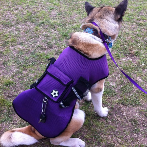 Large dog sport vest.
