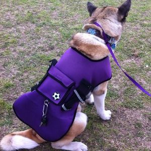 Large dog sport vest.