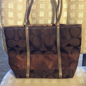 metallic coach handbag