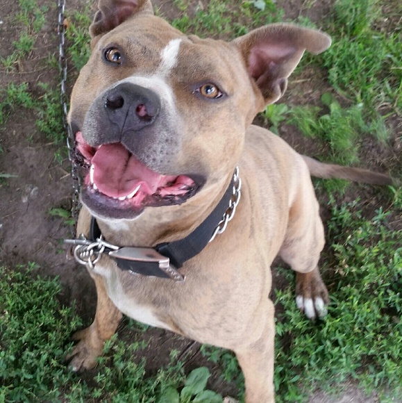 MEET YOUR SELLER :) - Picture 2 of 3