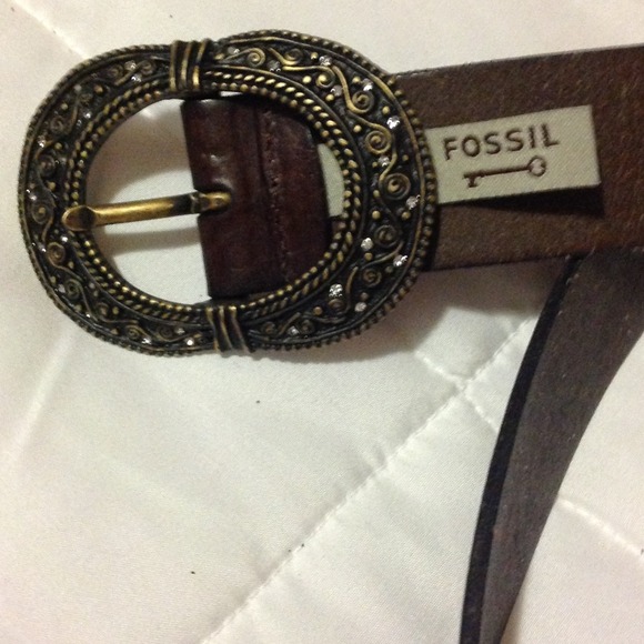 Fossil Belt