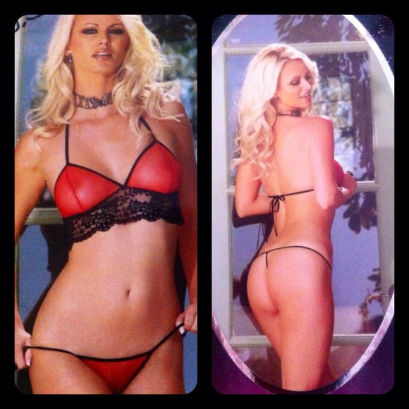 Elegant Moments Other - Plus size Lingerie 7939Q