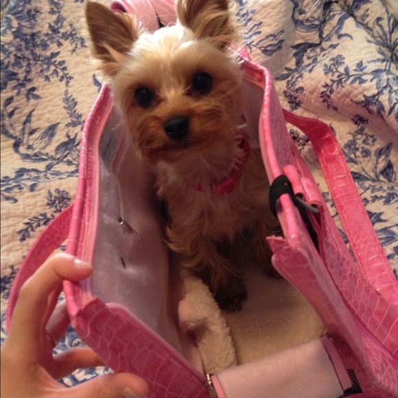 More pictures 💛 - Picture 2 of 3